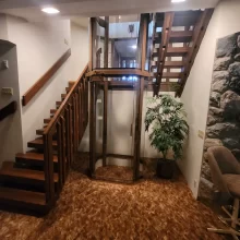 Lower-level view of a custom residential elevator with glass enclosure, wood staircases, carpeted flooring, and plant decor.