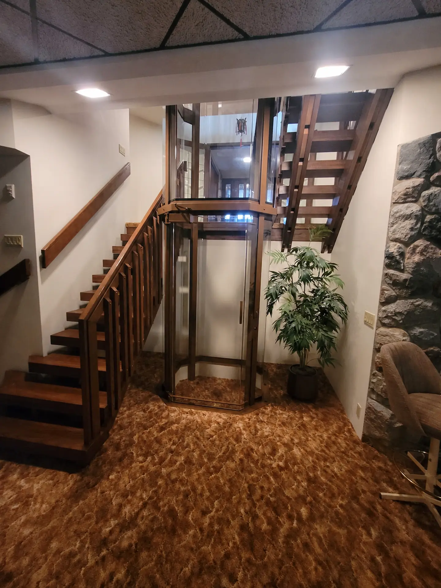 Lower-level view of a custom residential elevator with glass enclosure, wood staircases, carpeted flooring, and plant decor.