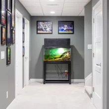 Finished basement hallway with gray walls, white trim, framed sports art, and a fish tank