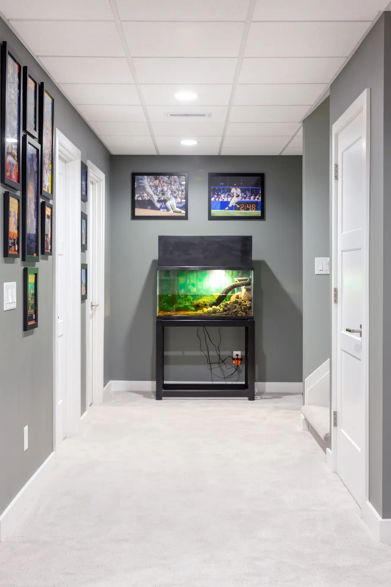 Finished basement hallway with gray walls, white trim, framed sports art, and a fish tank